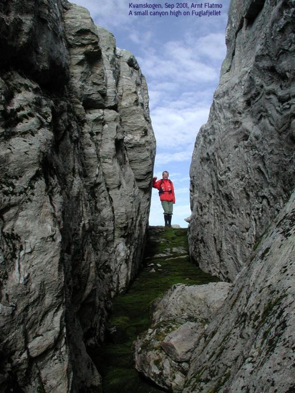 Hardanger Feriesenter Sjusete Villa นูร์ไฮม์ซุนด์ ภายนอก รูปภาพ